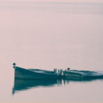Boats at Rankala lake